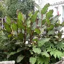 i5838430791.webp
